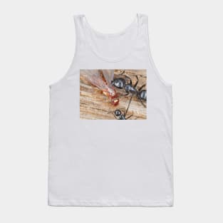 Carpenter ants fighting a dampwood termite Tank Top